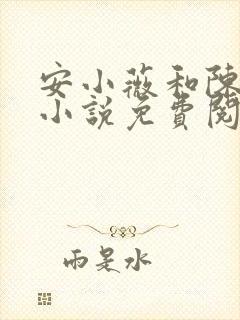 安小薇和陈小富小说免费阅读