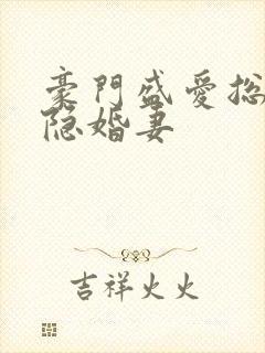 豪门盛爱总裁的隐婚妻