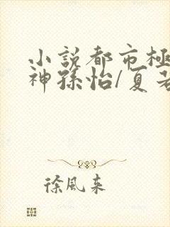 小说都市极品医神孙怡/夏若雪免费阅