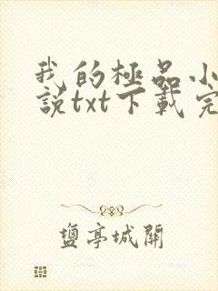 我的极品小姨小说txt下载完整版