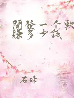 开发一个软件能赚多少钱