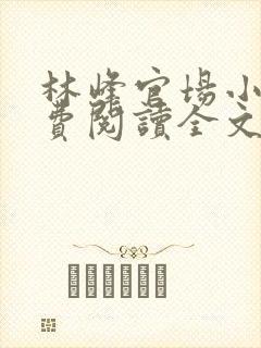 林峰官场小说免费阅读全文最新章节下载
