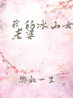 我的冰山女总裁老婆