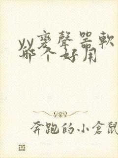 yy变声器软件哪个好用