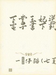 下堂王妃逆袭记电子书下载