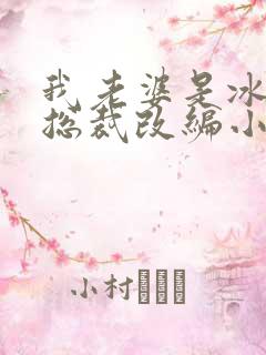 我老婆是冰山女总裁改编小说