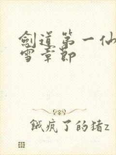 剑道第一仙文灵雪章节
