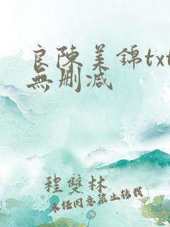 良陈美锦txt无删减