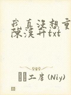 我真没想重生啊陈汉升txt