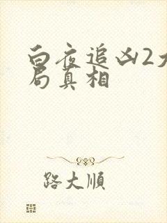 白夜追凶2大结局真相