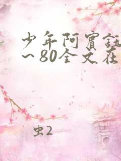 少年阿宾钰慧1～80全文在线阅读