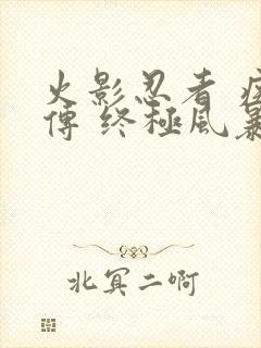 火影忍者 疾风传 终极风暴