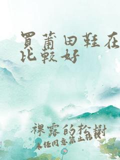 买莆田鞋在哪买比较好