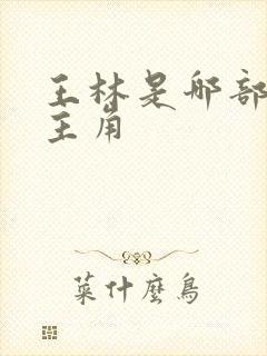 王林是哪部小说主角