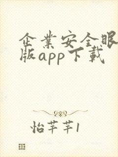 企业安全眼安卓版app下载