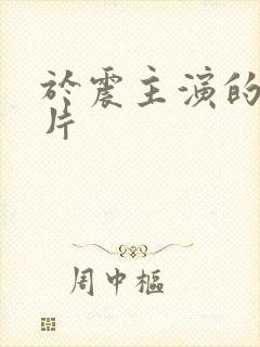 于震主演的谍战片