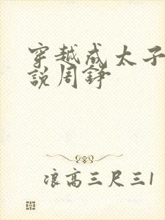 穿越成太子的小说周铮