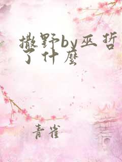 撒野by巫哲讲了什么