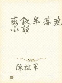 燕钗半落琥珀糖小说