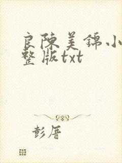 良陈美锦小说完整版txt