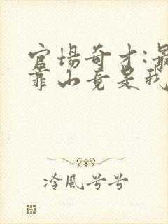 官场奇才:最强靠山竟是我自己什么书名