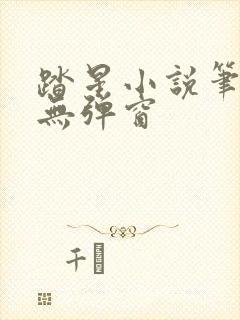 踏星小说笔趣阁无弹窗