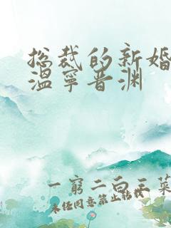 总裁的新婚罪妻温宁晋渊