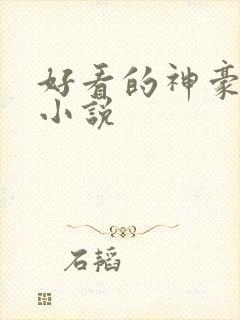 好看的神豪后宫小说