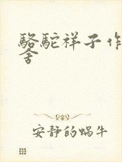 骆驼祥子作者老舍