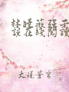 林晓薇强子的小说在线阅读笔趣阁