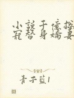 小说千亿总裁独宠替身娇妻1