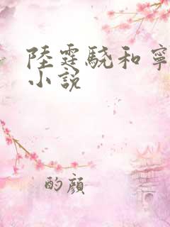 陆霆骁和宁夕的小说