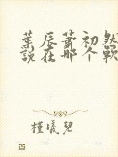 叶辰萧初然的小说在哪个软件看