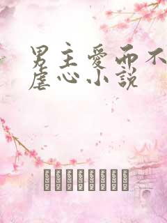 男主爱而不得的虐心小说