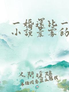 一婚还比一婚高小说晨雾的光