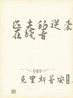 匹夫的逆袭小说在线看