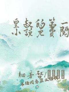 皇叔的第一宠妃小说免费阅读无弹窗