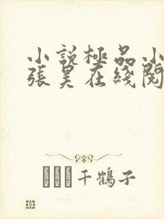 小说极品小仙医张昊在线阅读