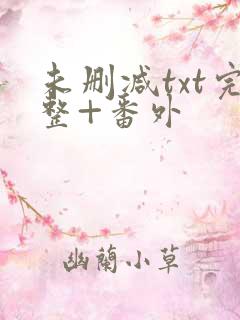 未删减txt完整+番外