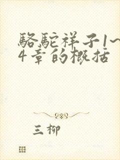 骆驼祥子1~24章的概括