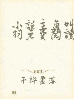 小说主角叫周轻羽免费阅读