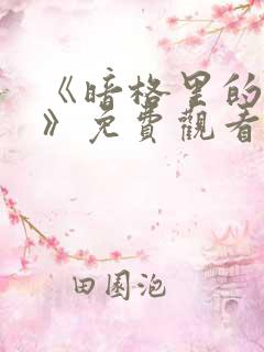 《暗格里的秘密》免费观看完整版