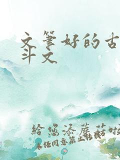 文笔好的古言宅斗文