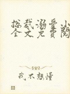 总裁溺爱小萌妻全文免费阅读