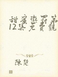 甜蜜惩罚第一季12集免费观看