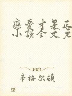 恋爱才是正经事小说全文免费阅读