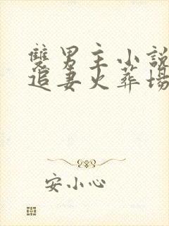 双男主小说短篇追妻火葬场