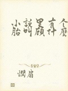 小说里有个双胞胎叫顾什么的