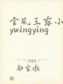 金风玉露小说bywingying