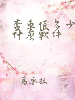 查车值多少钱用什么软件